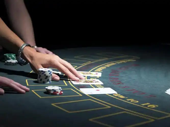 Studio Live Casino w88 link dengan dealer profesional dan kamera multi-sudut